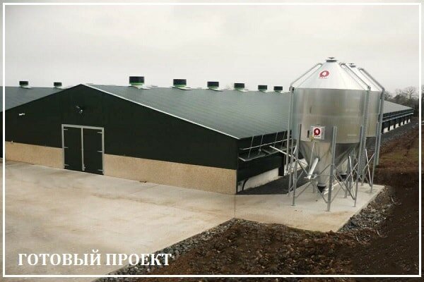 Этапы возведения птицефабрики от завода ВелесТент-ств